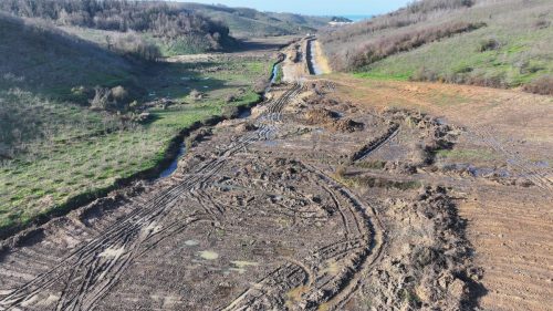 DJI 20241218135557 0290 D