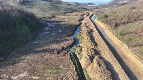 DJI 20241218135628 0296 D